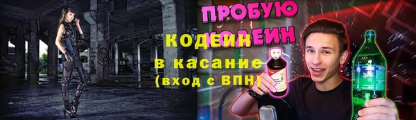 твердый Анива