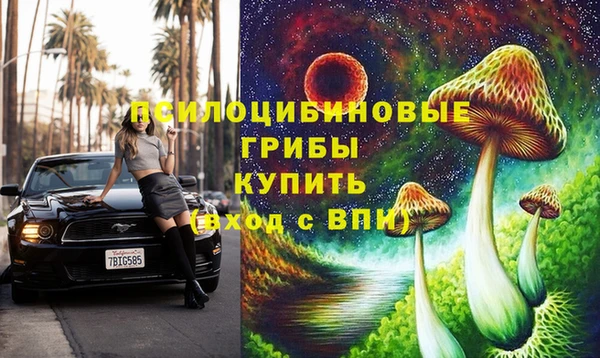 ГАЛЛЮЦИНОГЕННЫЕ ГРИБЫ Вяземский