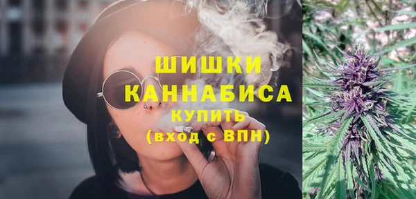 apvp Горнозаводск