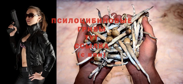 ГАЛЛЮЦИНОГЕННЫЕ ГРИБЫ Вяземский